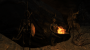 weapons:vendor:bronzeoracle:guardianacolyte.png